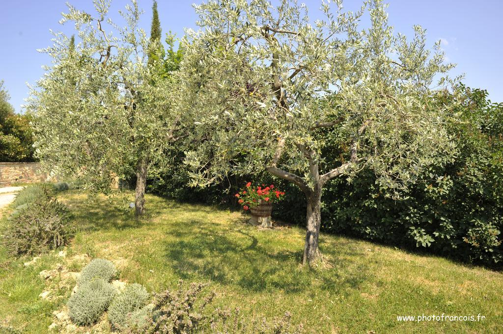 Agriturismo Il Sasso Montepulciano Stazione المظهر الخارجي الصورة